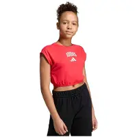 Adidas Seasonals Collegiate Typography T-shirt Met Korte Mouwen