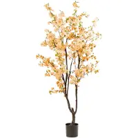 Emerald eternal green B.V. Kersenbloesemboom h210cm perzik