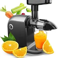 Aura Sapcentrifuges groenten en fruit - Sapcentrifuges - Slowjuicer - Grijs - 44cm x 33cm x 21cm