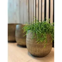 HS Potterie Bloempot Goud Miami Ovaal 28 x 12 x 14