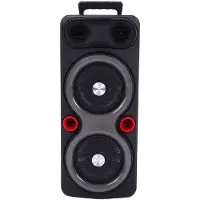 No Draagbare Outdoor Speaker - 2x 6.5" Bas, RGB Verlichting, TWS, Karaoke Microfoon - Zwart