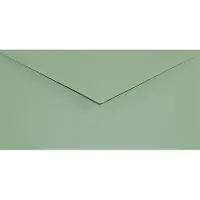 Netuno Gladde groene enveloppen DL - 110 x 220 mm - 100 stuks - NK natgelijmde - 120 gram - Keaykolour -