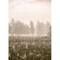 IXXI Foggy Morning, Mareike Böhmer - 100 x 140 cm - Gratis ophangtool - Grote wanddecoratie en posters - Fotografie, Landschappen, Natuur, Winter