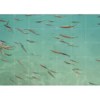 IXXI Fishing In China, Photolovers - 140 x 100 cm - Gratis ophangtool - Grote wanddecoratie en posters - Naturalisme, Fotografie, Realisme, Woonkamer