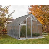 Palram - Canopia Kas Palram – Canopia Essence, polycarbonaat 4 mm, 244 x 487 cm, zilver