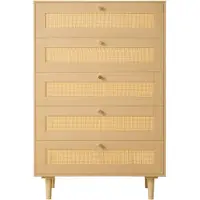 Vevor Rattan Commode met 5 Laden