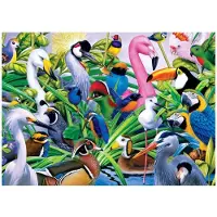 Jumbo Puzzel Birds 1000 stukjes
