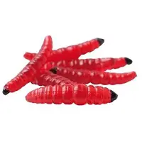 Water Queen Imitatie Ringwormen Rood
