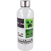 Storline Minecraft Drinkfles - 850ml