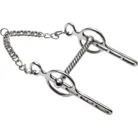 Feeling Liverpool Straight Paard Bit Zilver 16.5 cm