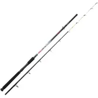 Sunset Girelle Sw Bottom Shipping Rod Zilver 2.10 m / 60-120 g