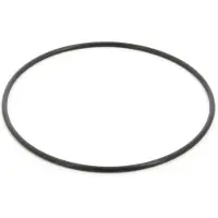 VETUS Ring 158x4.5 Mm Zilver