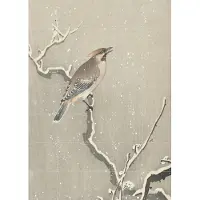 IXXI Bird on a snowy branch, Ohara Koson & Rijksmuseum - 100 x 140 cm - Grote wanddecoratie en posters - Ukiyo-e, Klassiek, Woonkamer, Slaapkamer