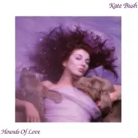 Bertus Distributie Hounds of Love