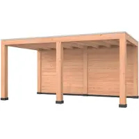 Westwood Douglas overkapping, 500 x 300, met achterwand, Modern Plus