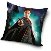 Harry Potter Kussensloop 40x40 cm - Zachte Velvet met Rits