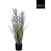 Mica Decorations Gras Campanula in pot - 78 x 20cm - Paars