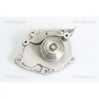 TRISCAN 8600 10025 Waterpomp