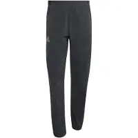 Adidas Sportbroek 'Terrex Xperior CLIMA365' lichtgrijs / zwart