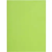 Exacompta Flash Dossiermap A4 Groen Manila 100% gerecycled 220 g/m² 500 Stuks