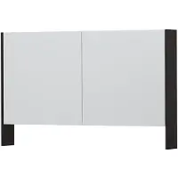 Ink SPK3 Spiegelkast 2 Deuren - 120x74cm - Houtskool Eiken - Spiegels, Spiegelkasten - 8718835090951