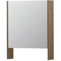 Ink SPK3 Spiegelkast 1 Deur - 60x74cm - Fineer Ash Grey - Spiegels, Spiegelkasten - 8718835089771
