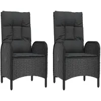 Syfax Tuinstoelen 2 st poly rattan zwart