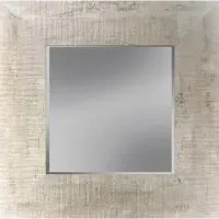 Ter halle Spiegel met facet 48x48