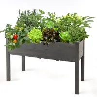 Costway Verhoogd bloembed, van hout, grote broeibak, plantenbak, bloembak, kruidenbak, plantenbak, plantenbak voor tuin, balkon, buiten, 125 x 59 x 76 cm (grijs)