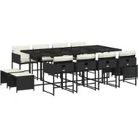 vidaXL 13-delige tuinset met kussens, zwart, van polyrotan