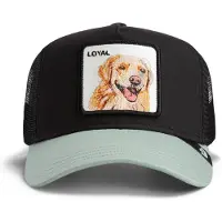GOORIN BROS. Pet 'Gorra goorin negra perro labrador loyal dog trucker cap' zwart