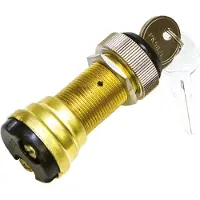 Ignition Switch Goud
