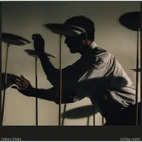 Pias James Blake - Trying Times (2 LP)
