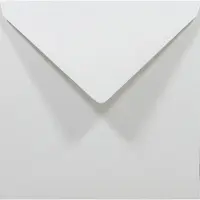 Netuno Gladde grijze enveloppen 14x14 cm - vierkant - K4-140 - 140 x 140 mm - 50 stuks - NK natgelijmde - 80 gram - Rainbow -