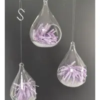 HBX natural living Set van 3 Glazen Raamhangers – Druppelvorm – Lila Allium – 11 cm