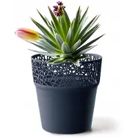 Prosperplast Boom Antraciet Pot - Elegante Decoratie voor Binnen