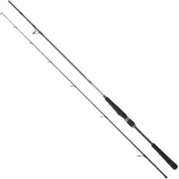 Daiwa Saltist Seabass Spinning Rod Zilver 3.05 m / 15-56 g