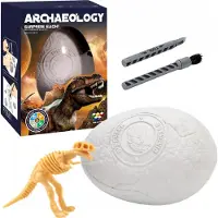 Norimpex Dinosaurus Ei Graafset - Archeologiespeelgoed voor kinderen