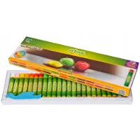 Cricco Oliepastels Set - 24 Levendige Kleuren voor Kinderen