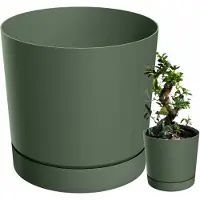 Prosperplast TUBO P bloempot 35cm met schotel - Groene Pinia