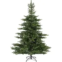 Everlands Grandis fir 450 cm