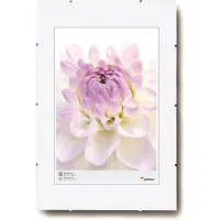 Walther design Fotolijstloze schilderijhouders (clip frame) - Frameformaat 42x60 cm - Helder Glas