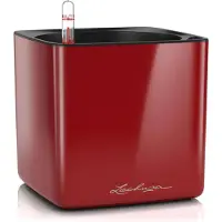 Lechuza CUBE Glossy 16 - Plantenbak - met uitneembare binnenbak - met bewateringssysteem - ALL-IN-ONE set met LECHUZA-PON - scharlakenrood hoogglans