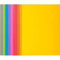 Exacompta Rock's 210 inlegmap A4 assorti (100 stuks)