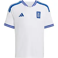 Adidas Functioneel shirt 'Griechenland 26' blauw / wit