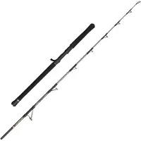Penn Regiment Iv Spinning Rod Zilver 2.40 m / 20-30 Lbs