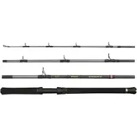 Penn Regiment Iv Boat Travel Spinning Rod Zilver 2.28 m / 20-30 Lbs