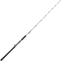 Penn Battalion Solid Boat Spiral Jig Baitcasting Rod Zilver 1.70 m / 500 g