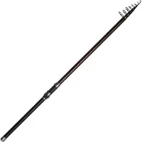 Dam Backbone Ii Stellfisch Carpfishing Rod Zilver 8.00 m / 50-100 g