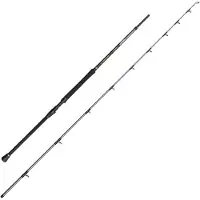 Penn Regiment Iv Boat Braid Spinning Rod Zilver 2.49 m / 12-20 Lbs